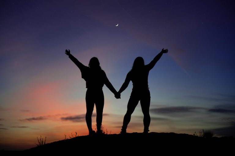 silhouette of 2 women standing on ground during sunset