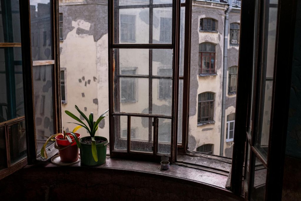 Old window view with plants on a sill in a vintage interior setting.