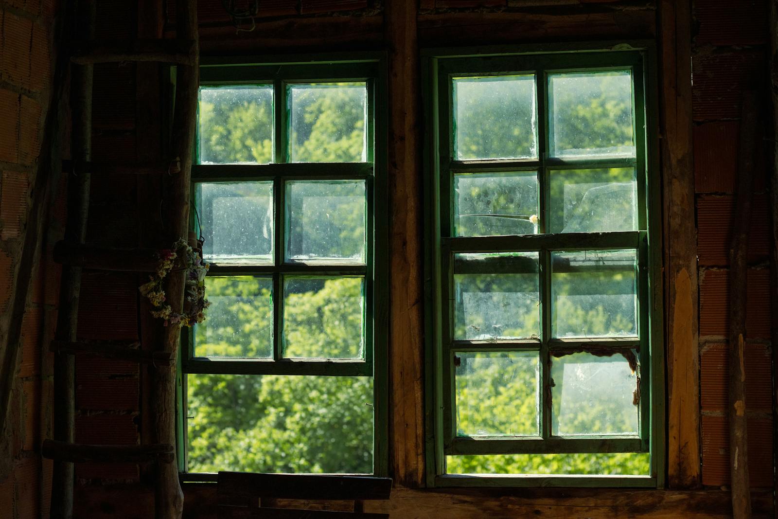 Old rustic wooden windows providing a view of lush green forest outside.
