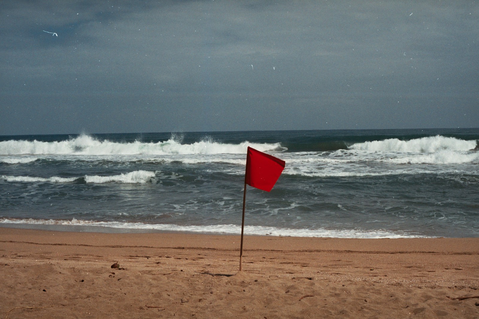 a red flag sticking out of the sand of a beach