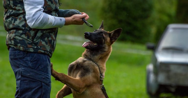 7 Things That Make a Man Stay Loyal for Life