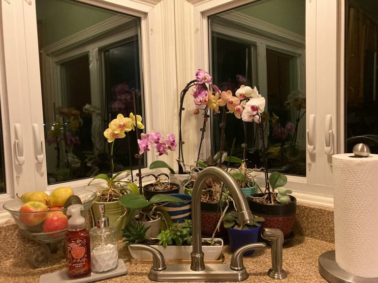 a sink with a bunch of flowers in it