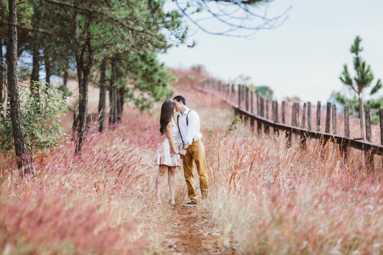couple, kiss, field, meadow, kissing, holding hands, lovers, affection, affectionate, happy couple, couple kissing, marriage, love, vintage, man, woman, nature, outdoors, rural, countryside, couple, couple, couple, couple, couple, kiss, lovers, lovers, love