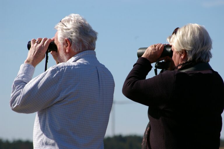 binoculars, curious, couple, older, hobby, focus, binoculars, binoculars, binoculars, binoculars, binoculars, older