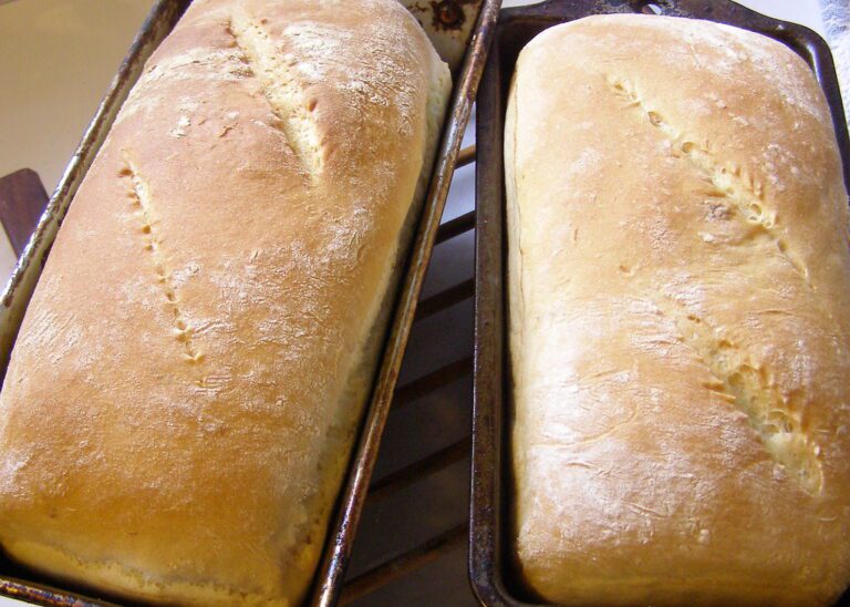 New data links these 5 foods to rising chronic illness