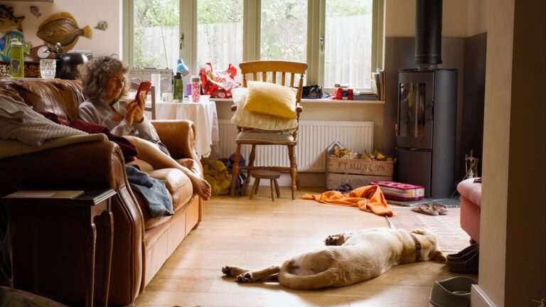 A dog laying on the floor in a living room