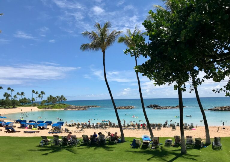 a beach filled with lots of people and palm trees