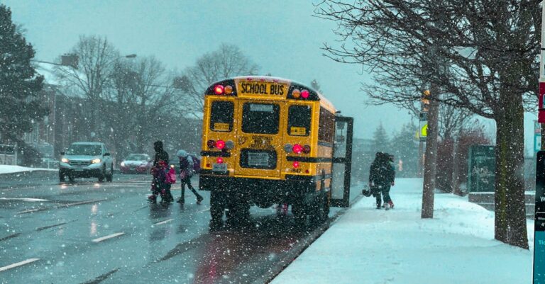 A Neighbor’s Teenagers Cut Across My Yard Daily to Reach the Bus Stop, and Their Parents Told Me It’s “Safer Than the Sidewalk”
