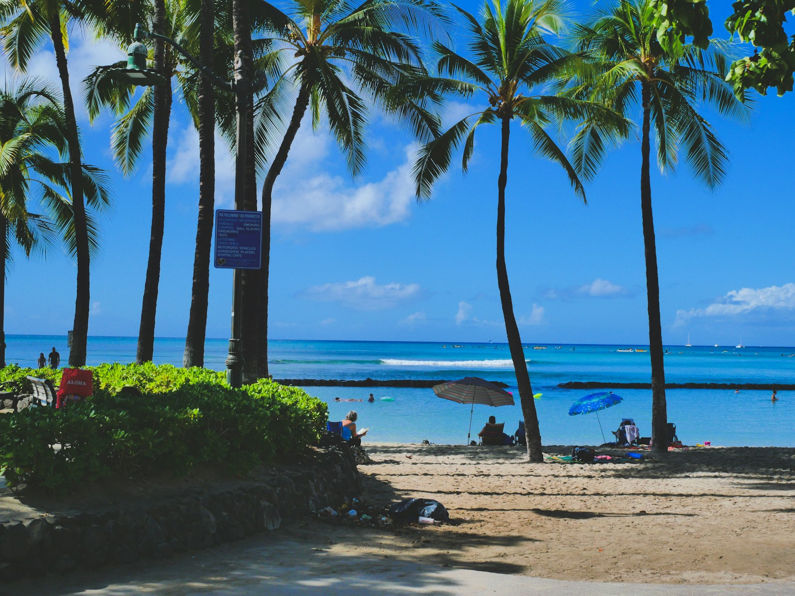 a beach with palm trees and people on it