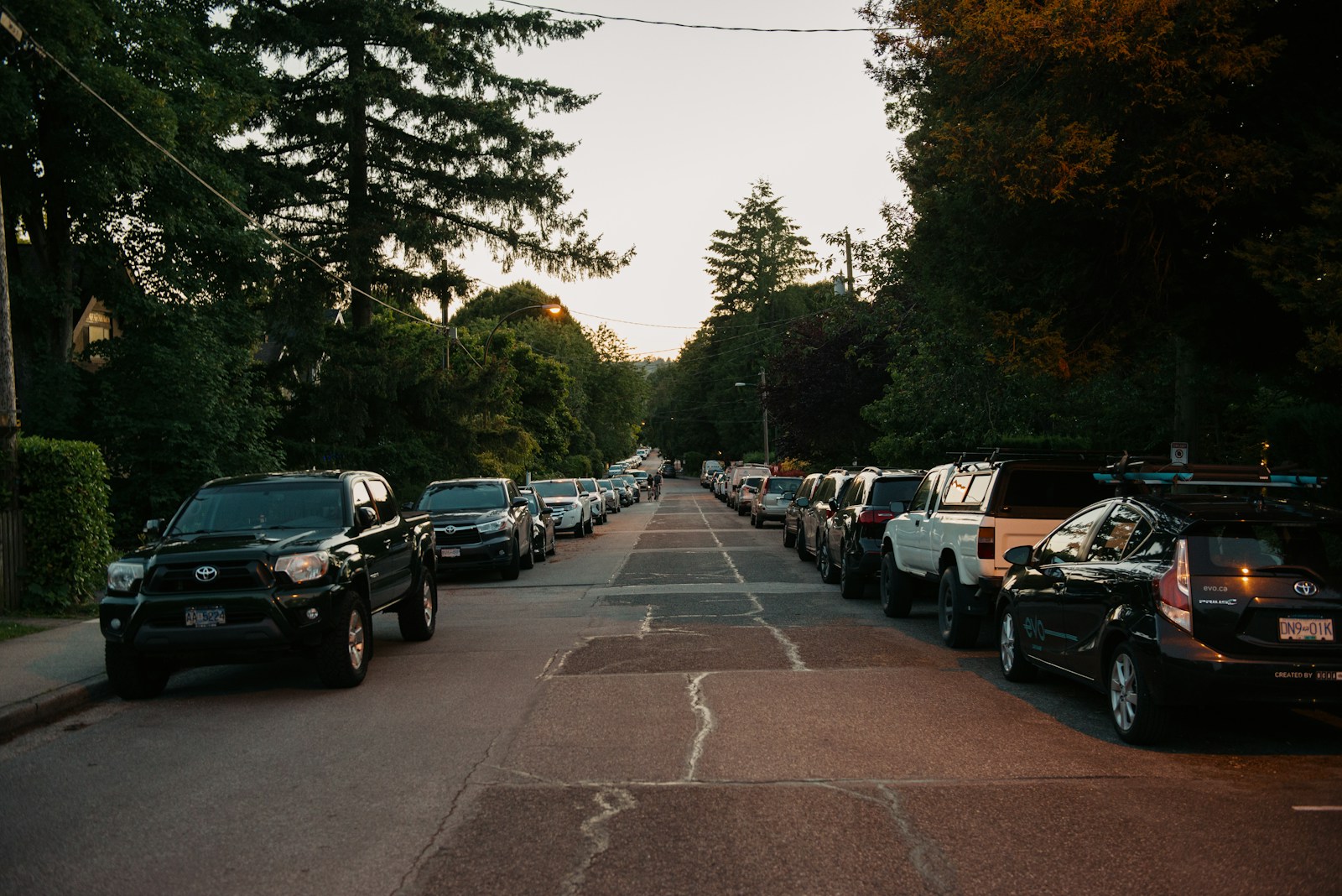 A street lined with parked cars and trees