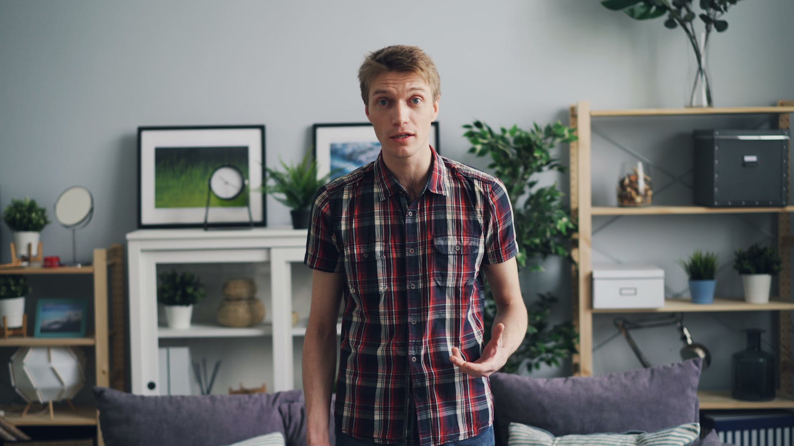 Young man standing in a modern living room with decorative shelving, plants, and framed art.