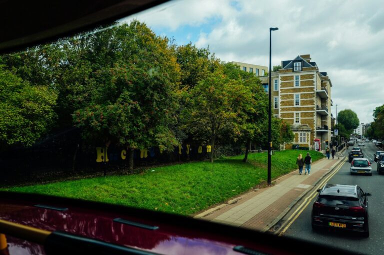 Trees line a street with buildings and cars.