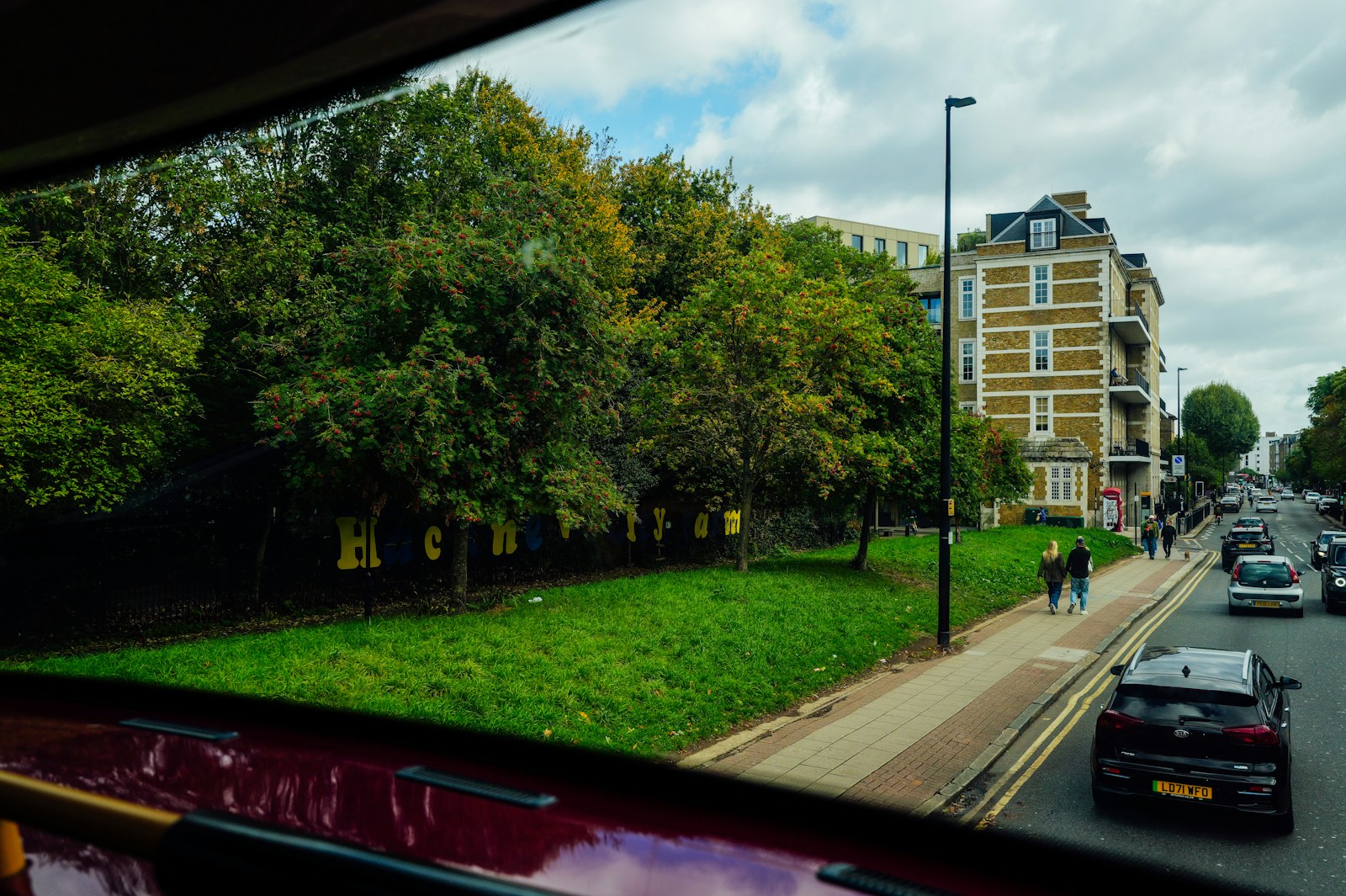 Trees line a street with buildings and cars.