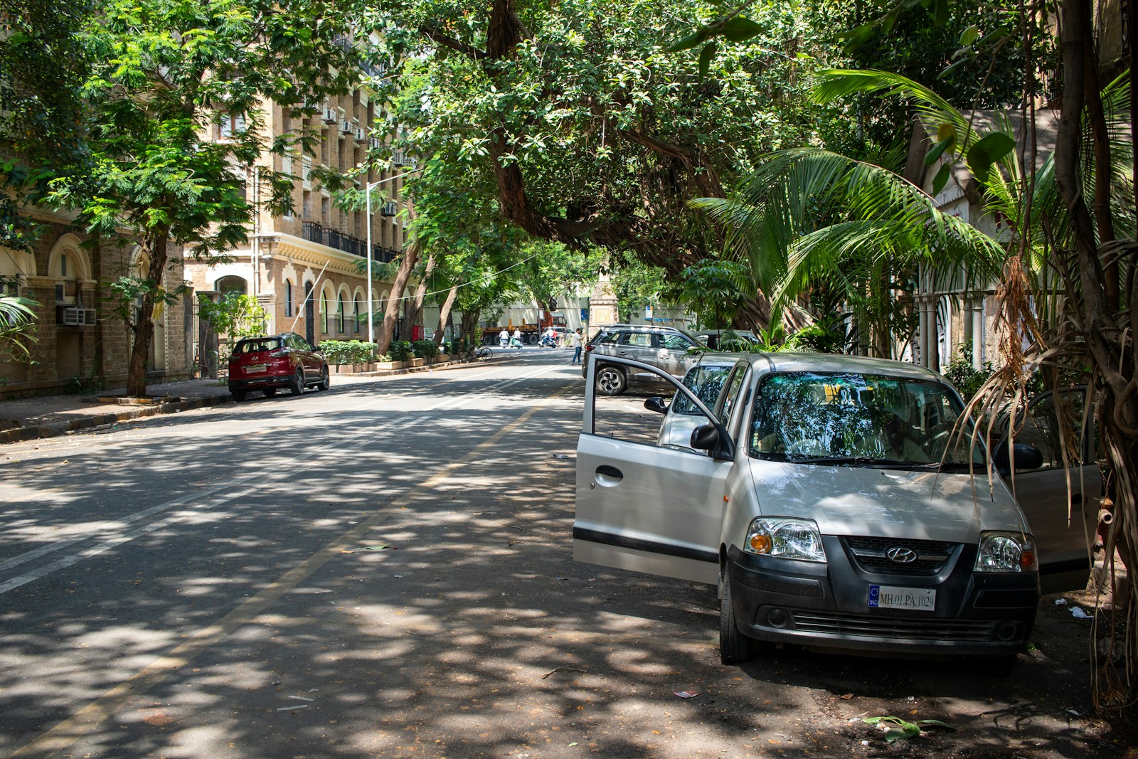 A shaded street with parked cars is shown.