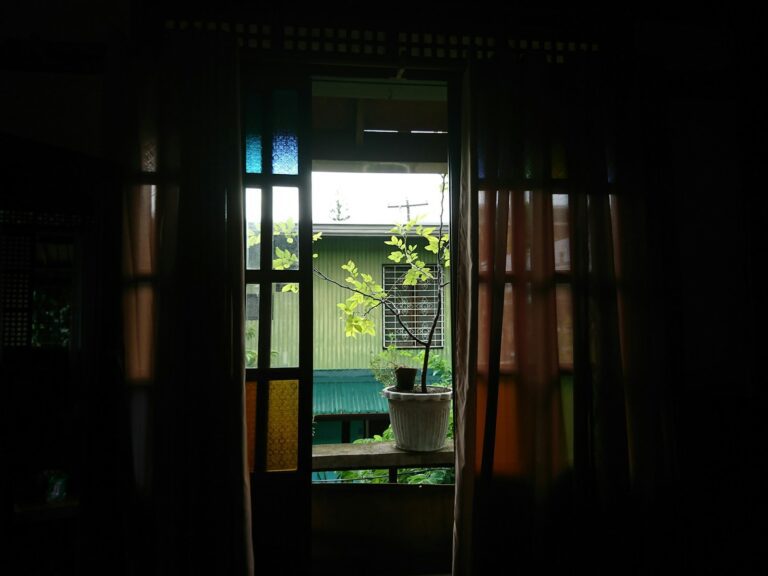A dark room with a potted plant on the window sill
