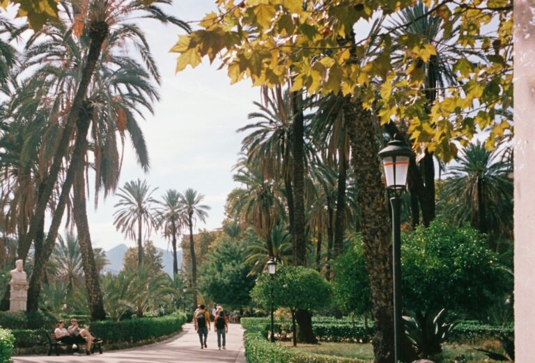 People stroll through a serene, palm-lined garden.