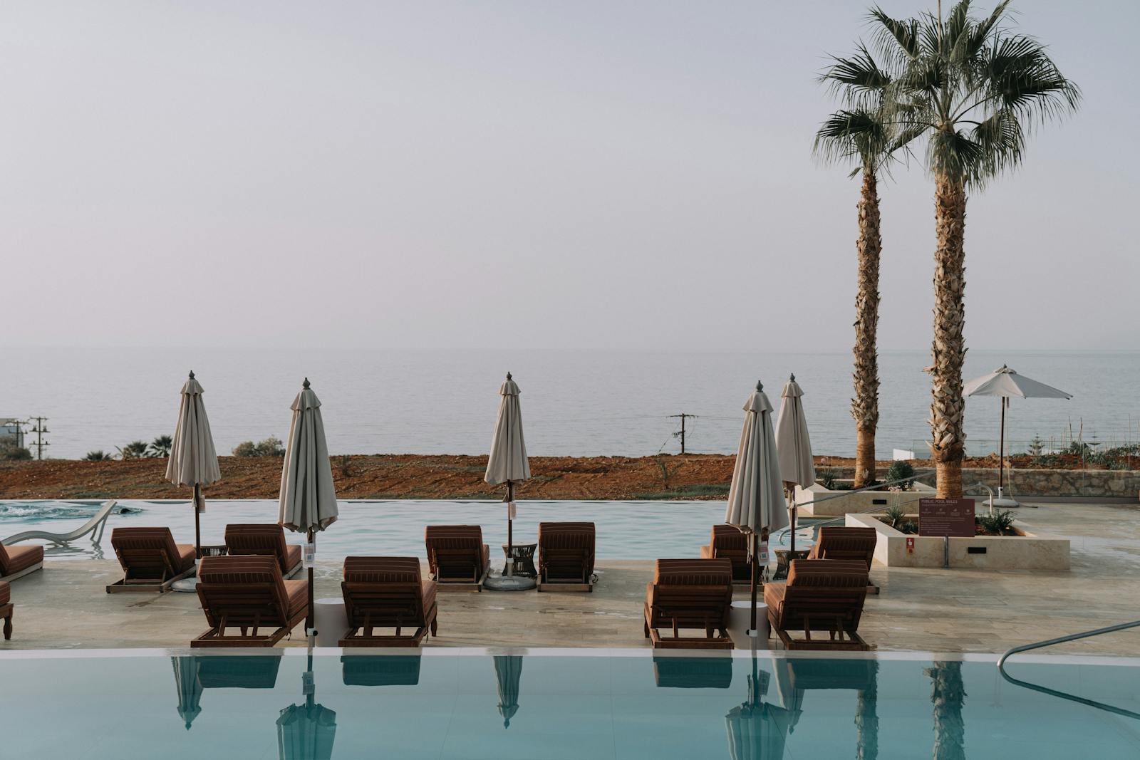 Elegant poolside scene with palm trees, sun loungers, and ocean view at a stylish resort.