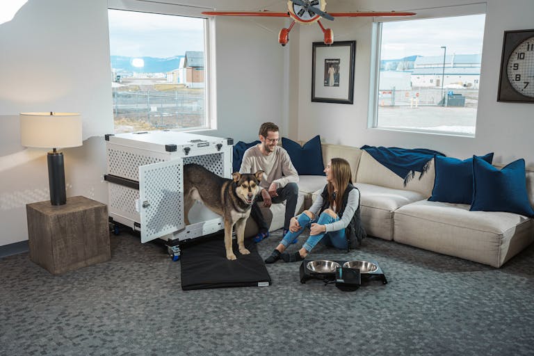 A couple relaxing with their dog in a modern living room setting, emphasizing comfort and pet safety.