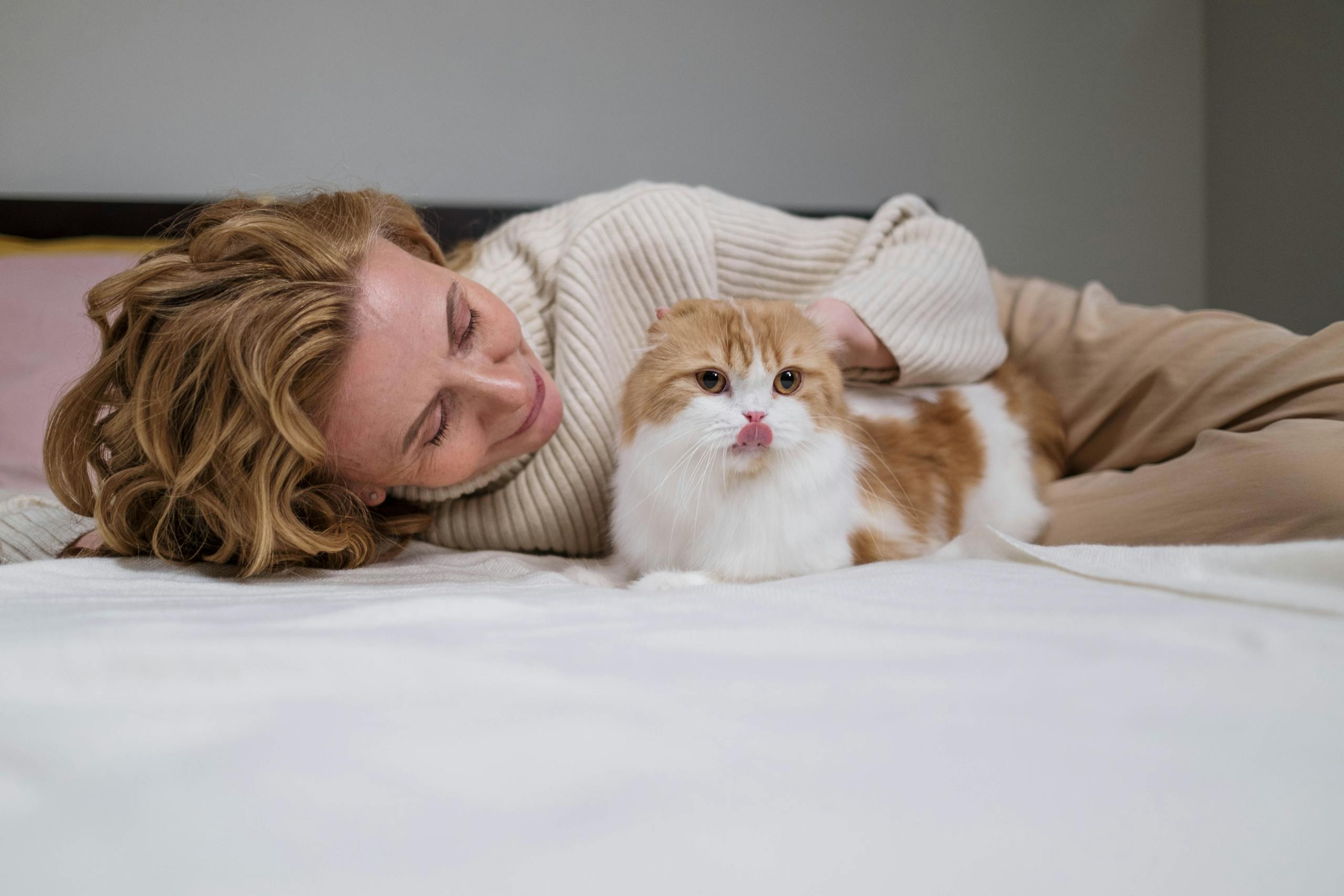 A woman relaxes with her cute Scottish Fold cat on a cozy bed indoors.