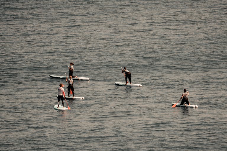Aerial view of five people paddle boarding on the sea, enjoying outdoor activities.