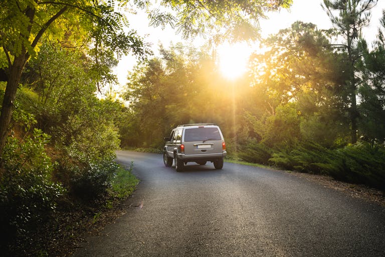 An SUV navigates through a serene forest road as sunlight peeks through the trees in Istanbul.