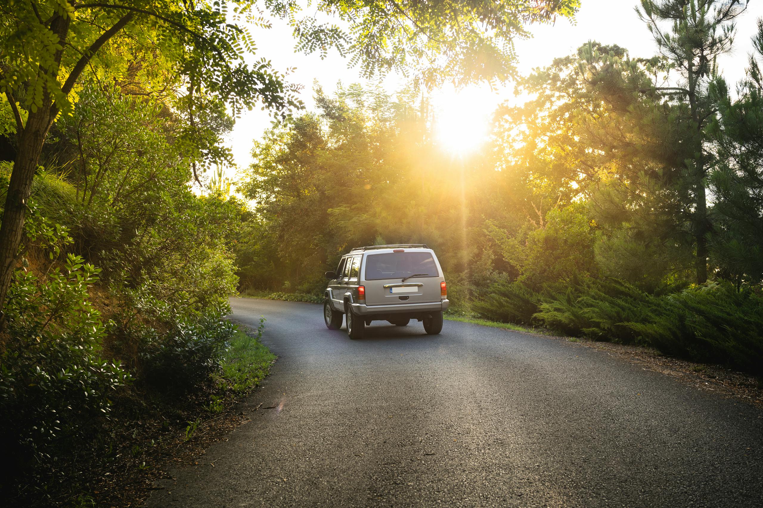 An SUV navigates through a serene forest road as sunlight peeks through the trees in Istanbul.