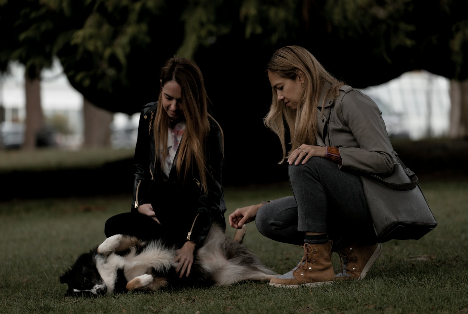two women sitting on the grass petting a dog