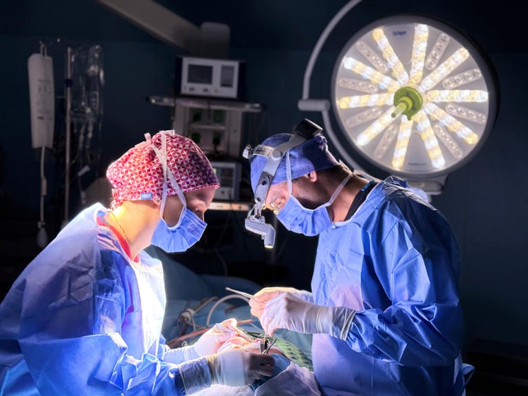 Professional surgical team in action in an operating room with focus on precision and teamwork.