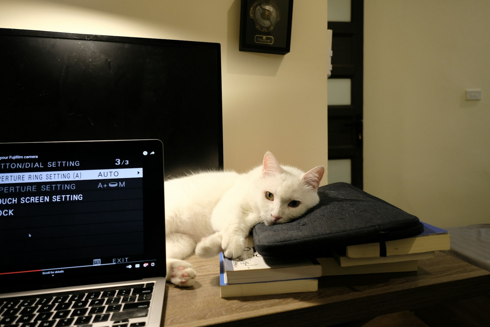 White cat rests on books next to a laptop.