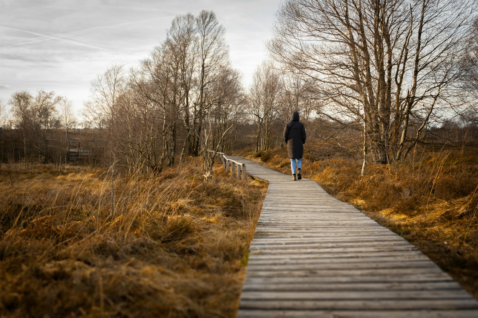a person walking down a path in the woods