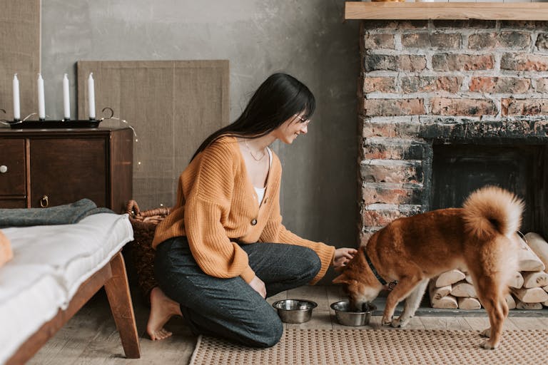 Woman feeds her Shiba Inu dog in a cozy living room setting by a fireplace.
