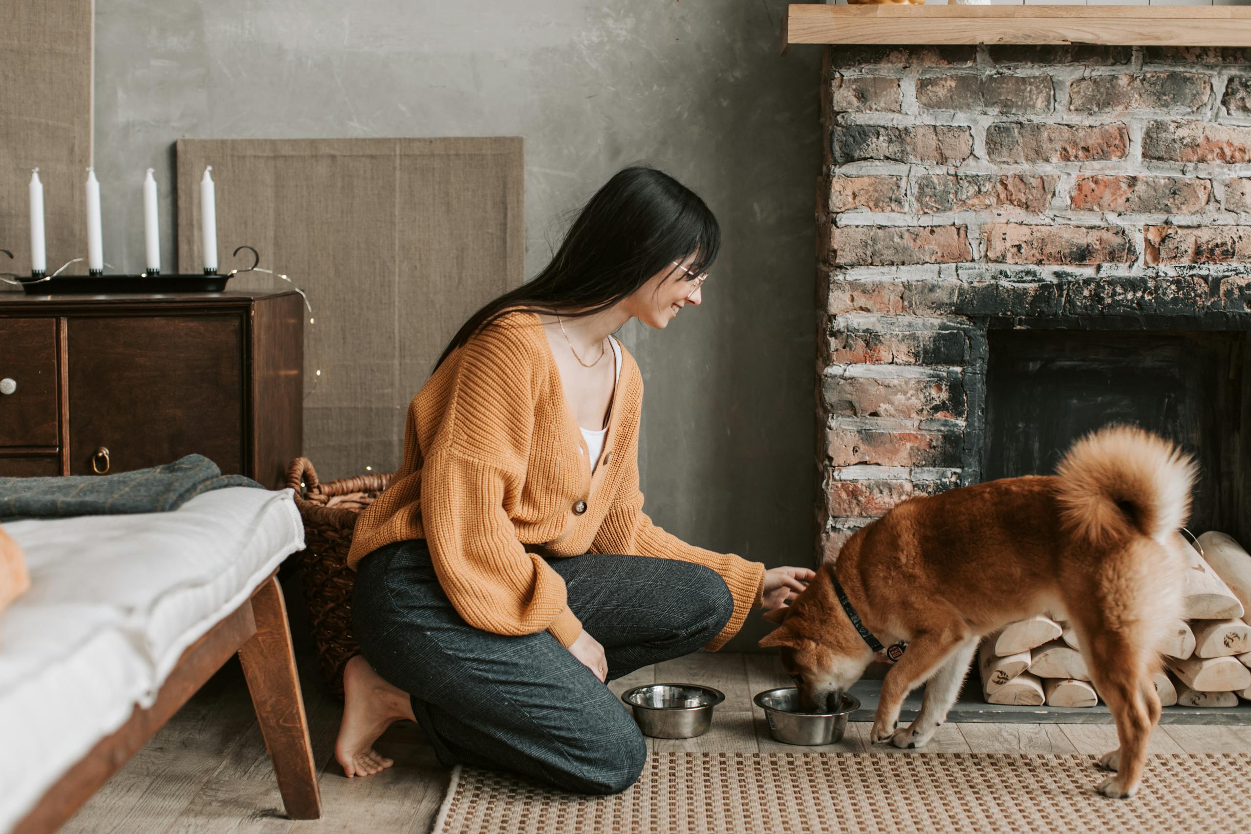 Woman feeds her Shiba Inu dog in a cozy living room setting by a fireplace.