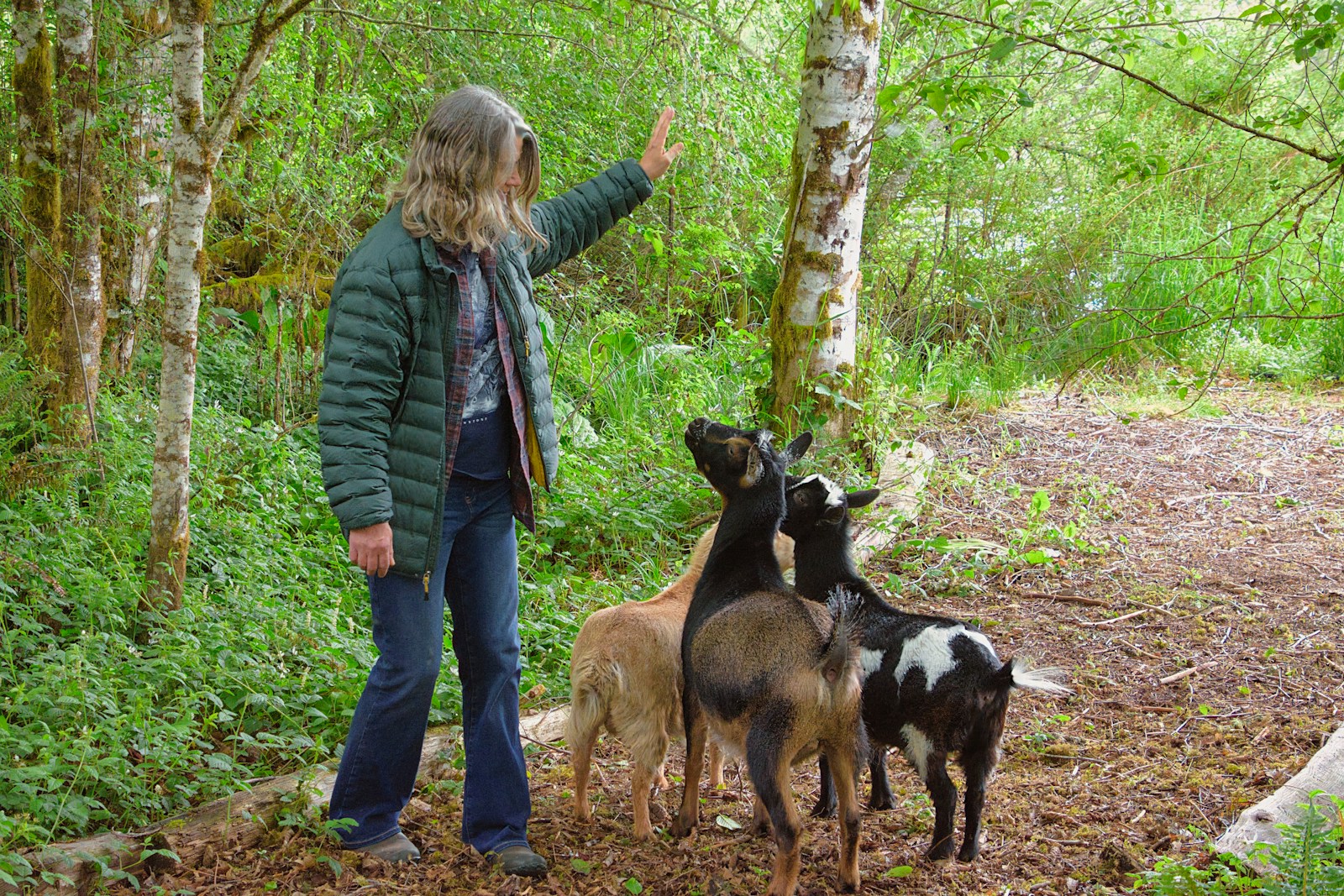 a woman standing next to a group of goats