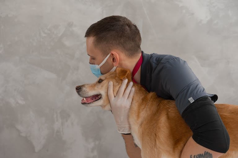 A caring veterinarian embraces a happy dog during a routine checkup. Captures empathy and professionalism.