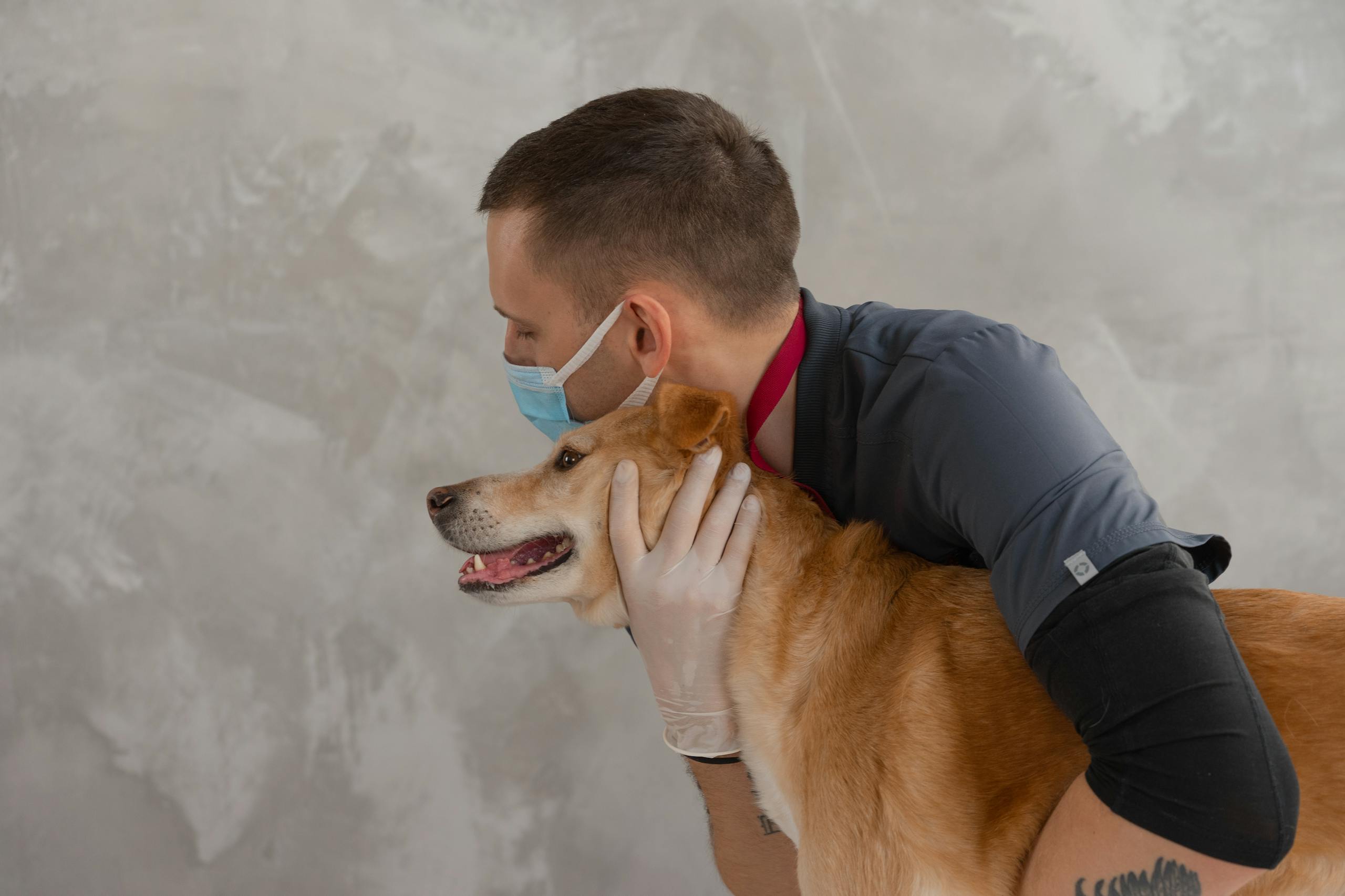 A caring veterinarian embraces a happy dog during a routine checkup. Captures empathy and professionalism.