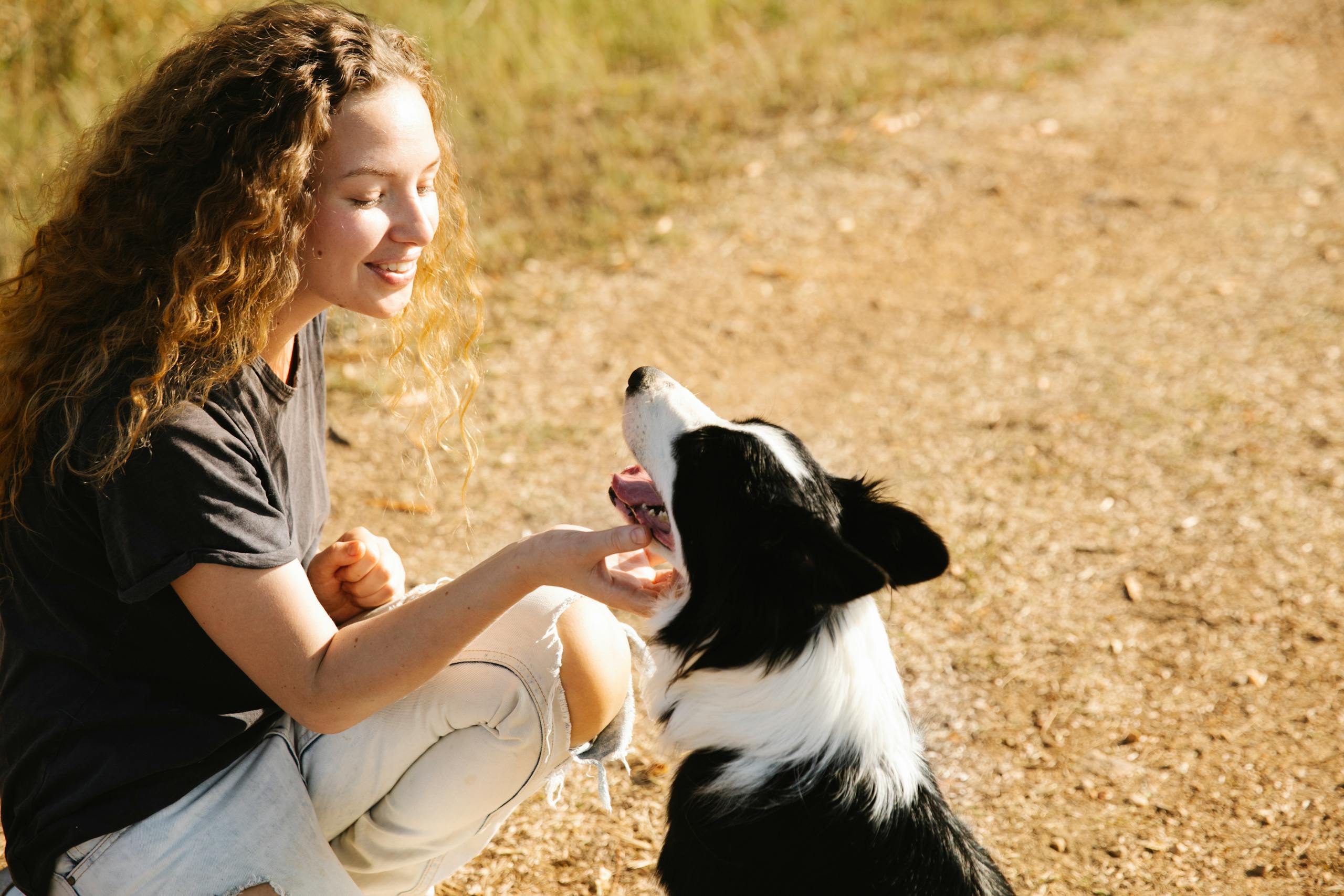 A joyful young woman petting her Border Collie in a sunny outdoor setting.