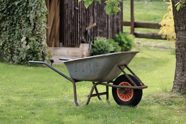 A rustic wheelbarrow stands on green grass in a serene garden setting, ideal for gardening themes.
