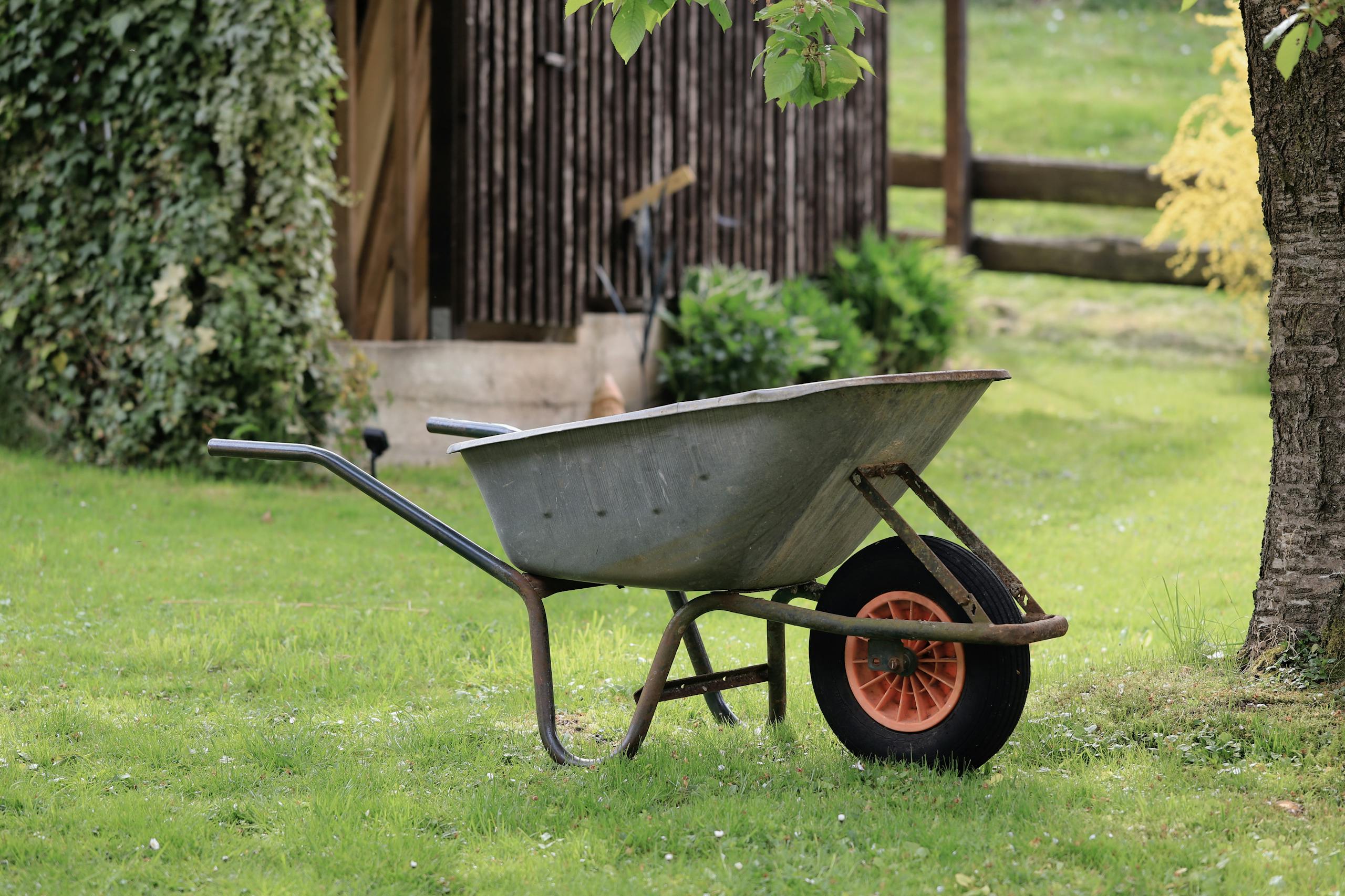 A rustic wheelbarrow stands on green grass in a serene garden setting, ideal for gardening themes.