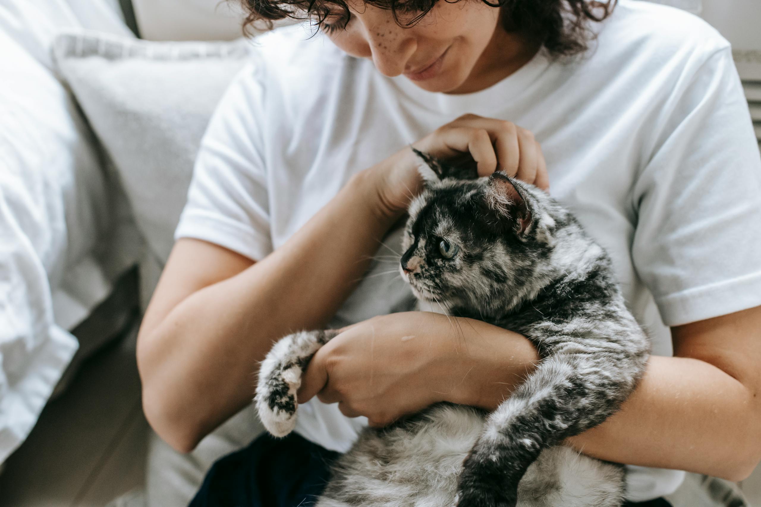 Tender female owner wearing white t shirt petting cute dappled cat while sitting on floor near bed in light room
