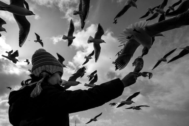 A woman feeds seagulls in flight in this dramatic black and white photograph.