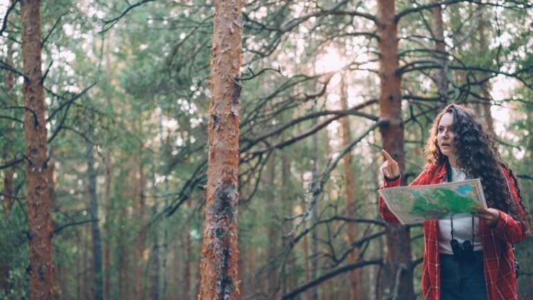 Woman with map in a pine forest