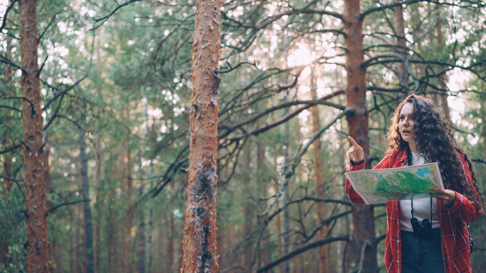 Woman with map in a pine forest