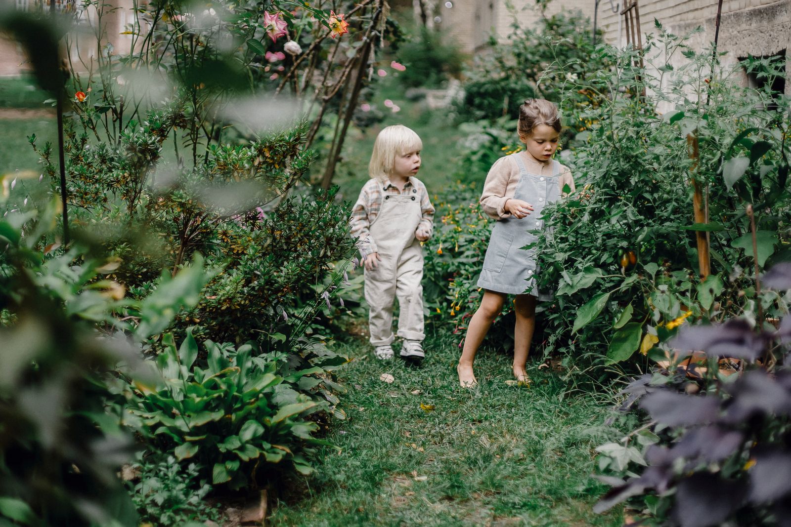 Full body of adorable little girl and boy in stylish clothes standing in green garden amidst blooming shrubs in sunlight