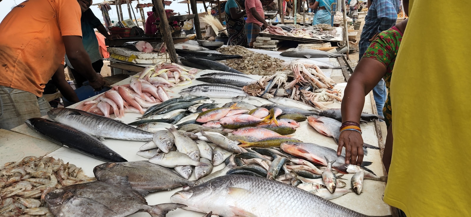 a bunch of fish that are on a table
