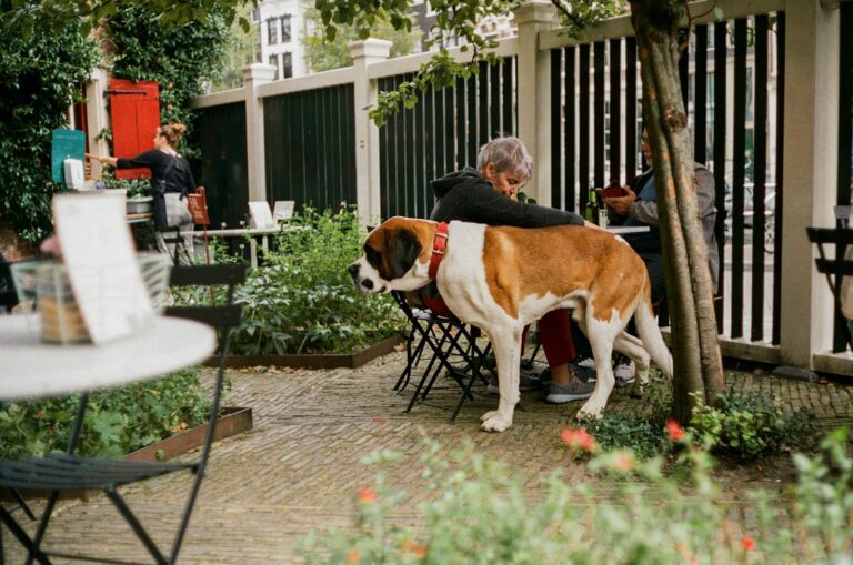 a man sitting at a table with a dog on his back