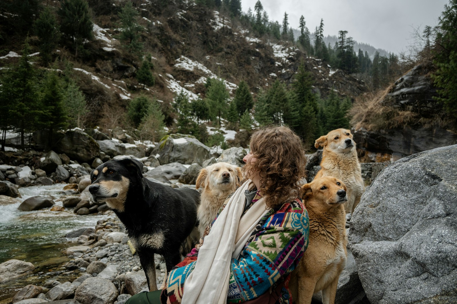 a woman sitting on a rock next to a group of dogs