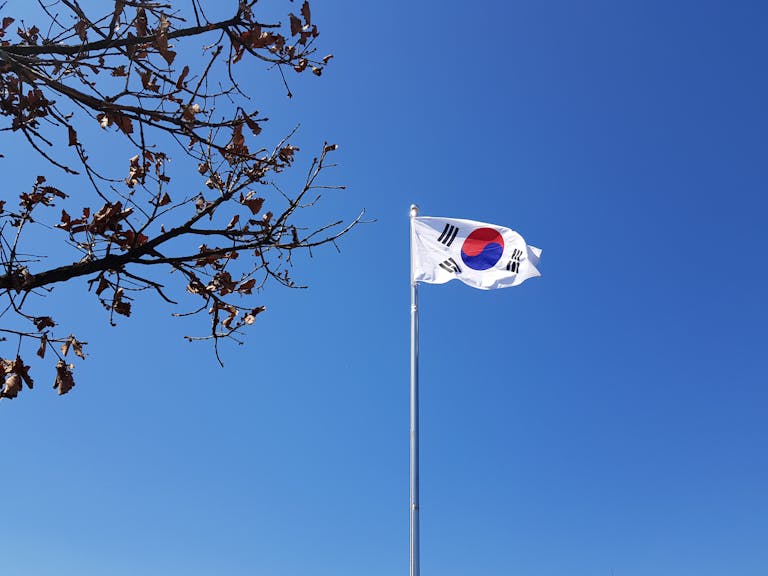 South Korean flag on a flagpole against a vibrant blue sky with tree branches.