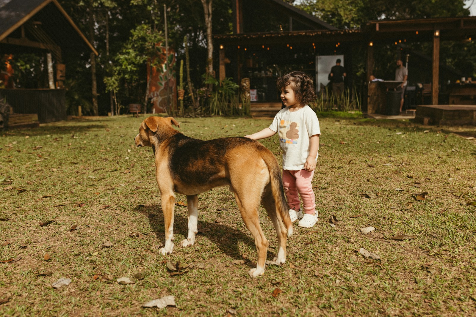A child pets a dog in a grassy yard.