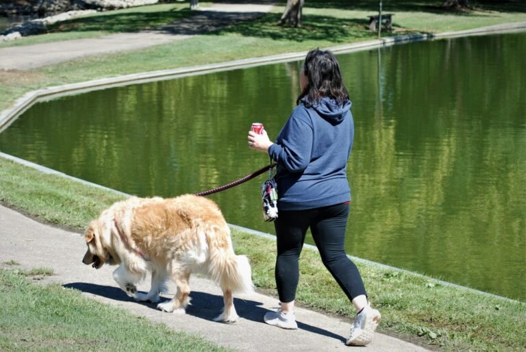 a woman walking a dog on a leash next to a lake