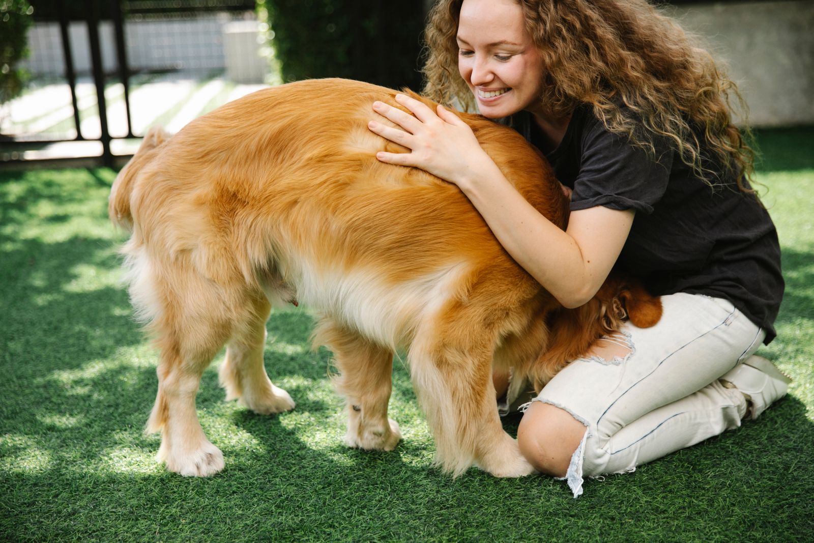 Crop happy female with playful dog on fresh green grass in yard in summer in daylight